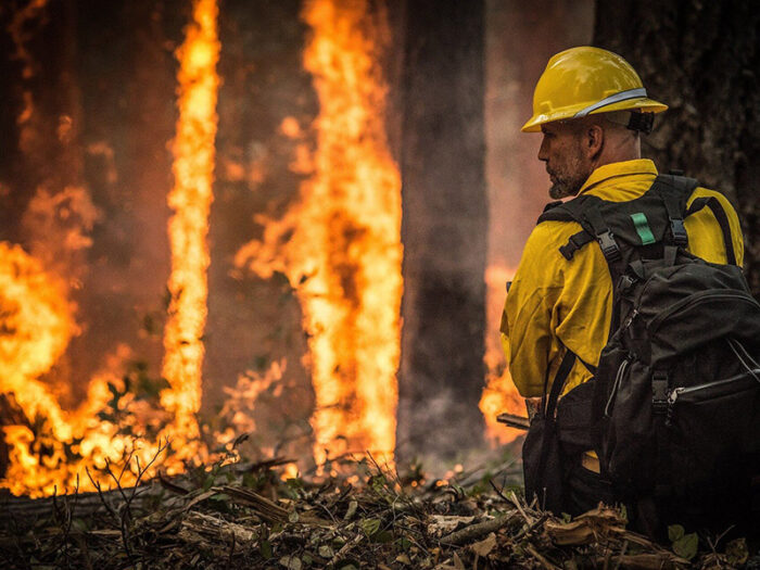 Ein Feuerwehmann im Einsatz bei einem Waldbrand