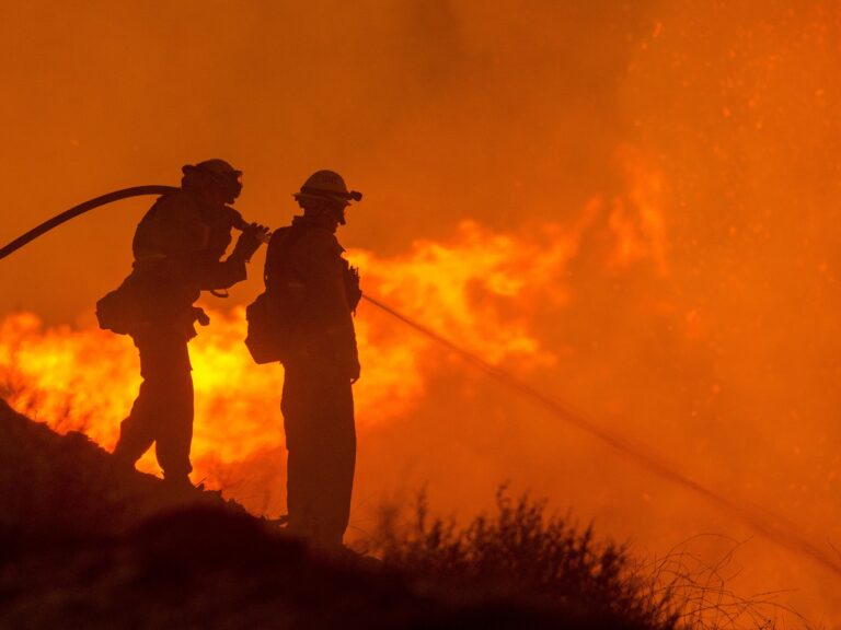 Zwei Feuerwehrmänner, die probieren einen Waldbrand zu bändigen
