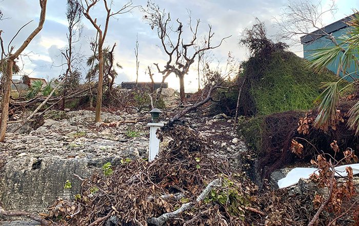 Damaged buildings and foliage in the Bahamas