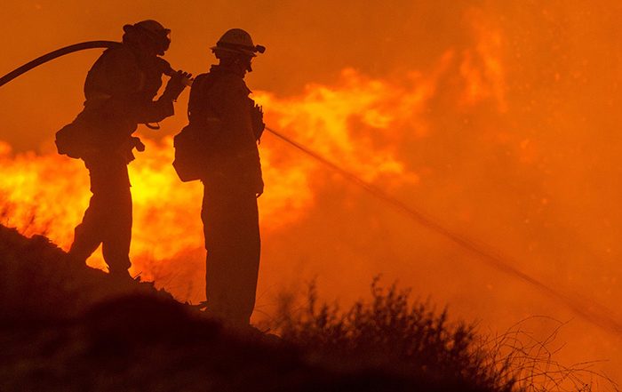 Firefighters pouring water on a forest fire